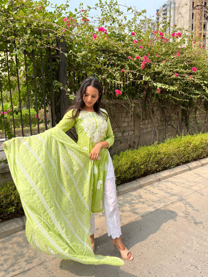 Light Green Chikankari Kurti set