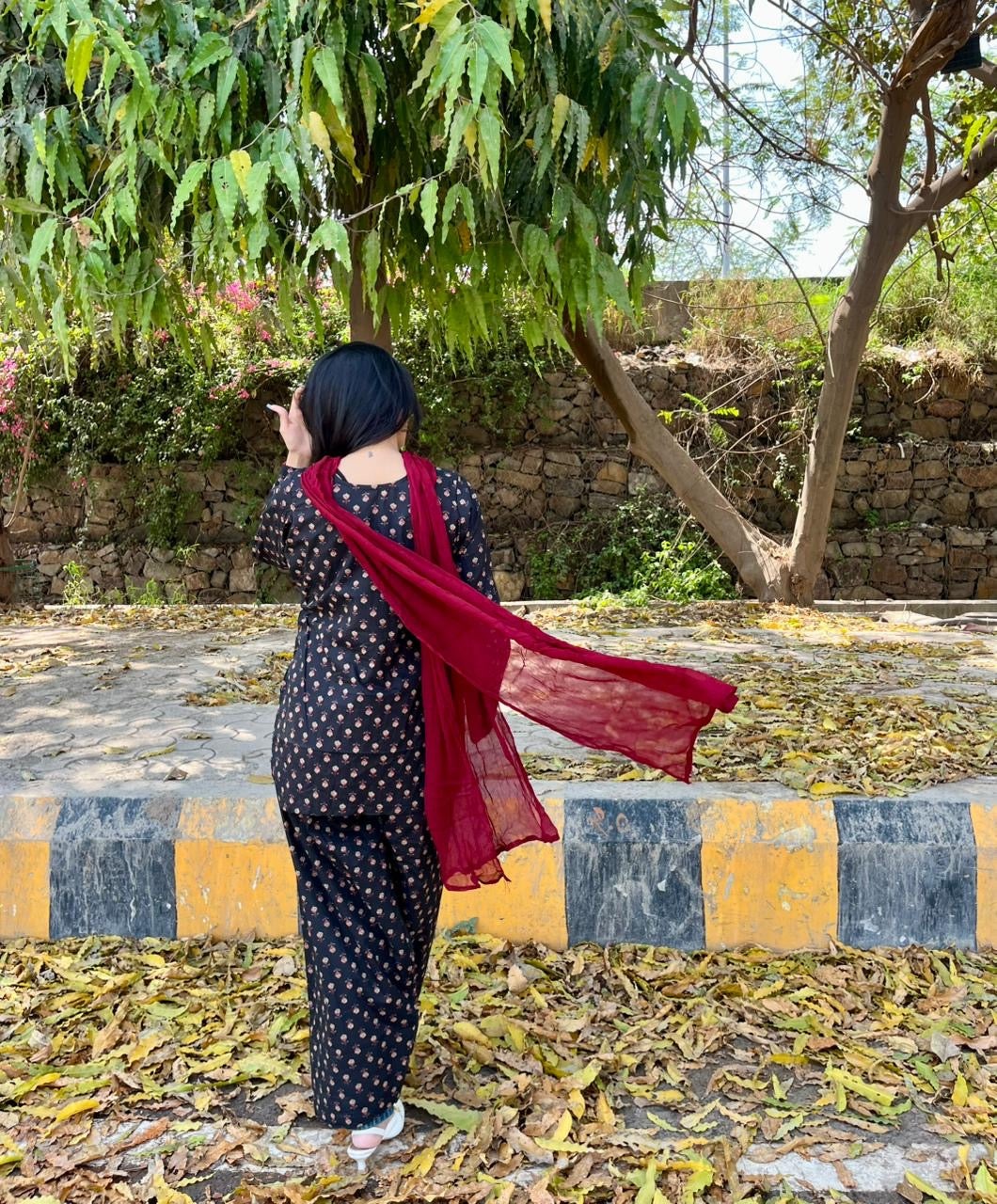 Juliet Farshi Salwar Set