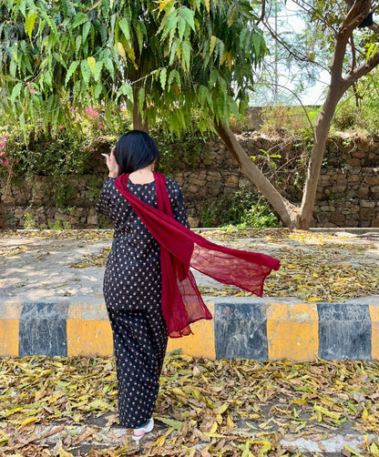 Juliet Farshi Salwar Set
