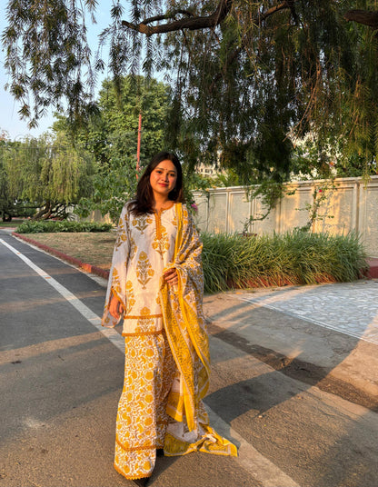 Ratan Farshi Set