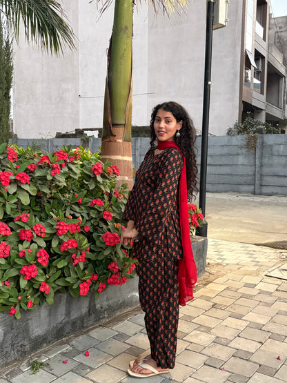 Sanskriti Farshi Salwar Set