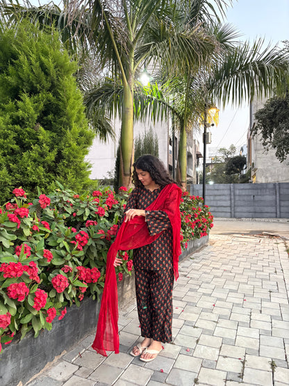 Sanskriti Farshi Salwar Set