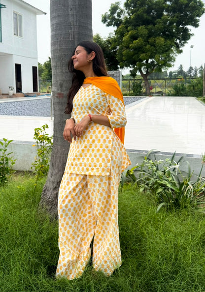 Saaz-e-Saavan Set