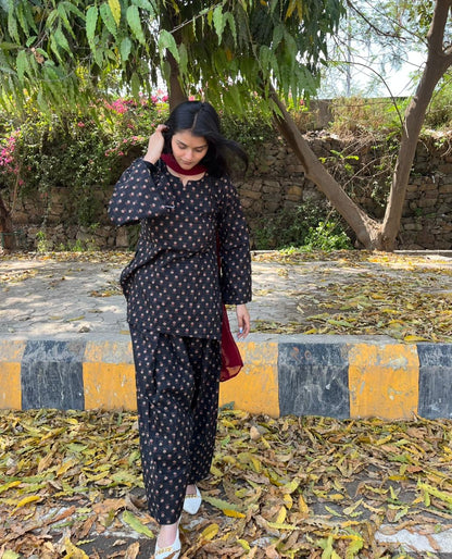 Juliet Farshi Salwar Set