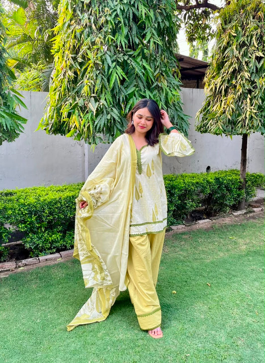 Pista Farshi Set