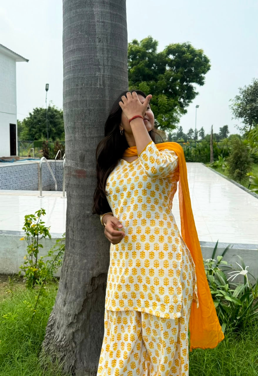 Saaz-e-Saavan Set