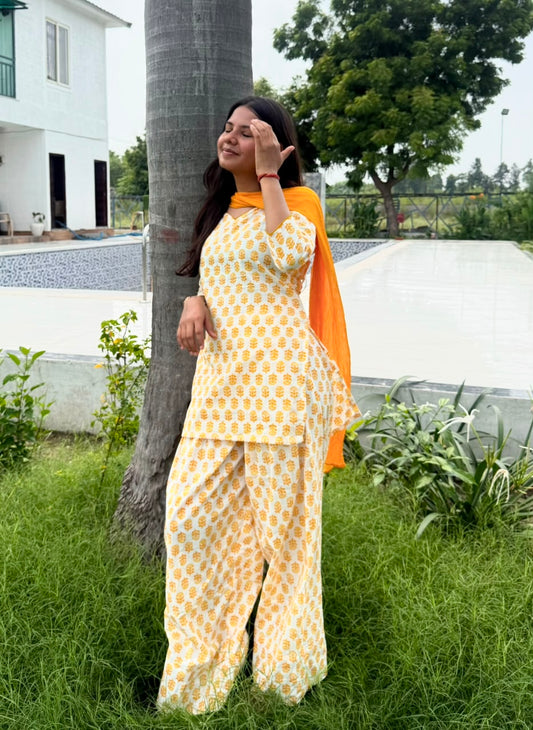 Saaz-e-Saavan Set