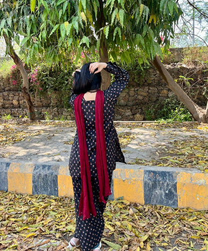 Juliet Farshi Salwar Set