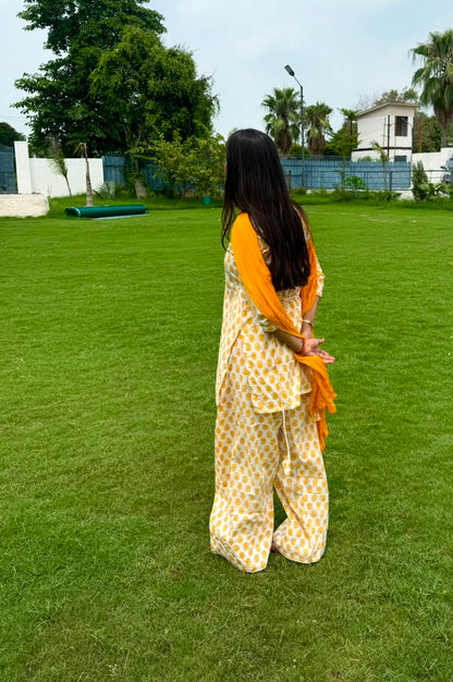 Saaz-e-Saavan Set