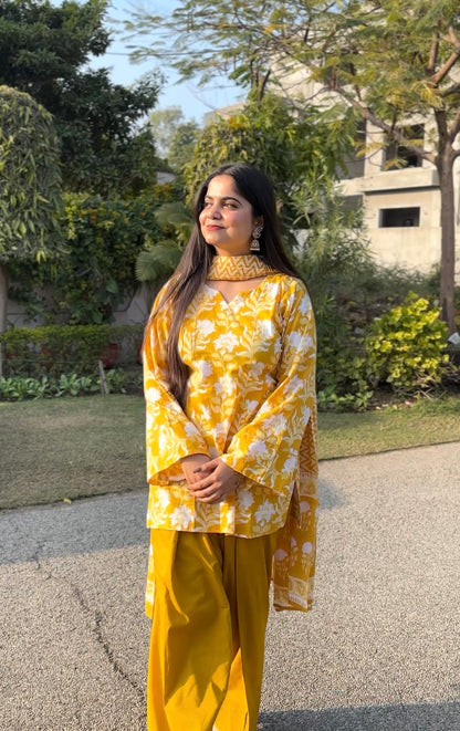 Roshni Farshi Salwar Set