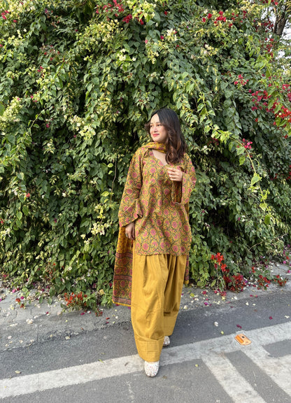 Aayra Farshi Salwar Set