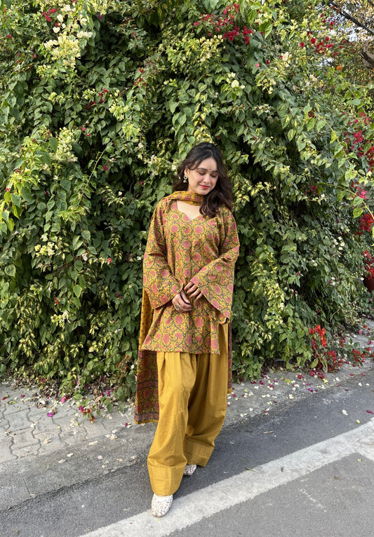 Aayra Farshi Salwar Set