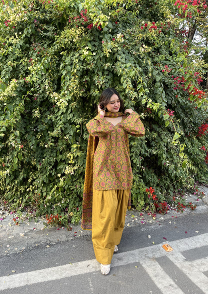 Aayra Farshi Salwar Set