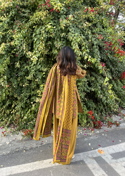 Aayra Farshi Salwar Set