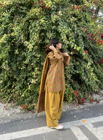 Aayra Farshi Salwar Set