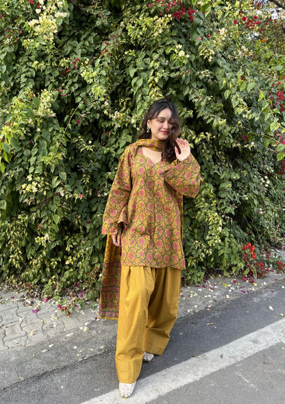 Aayra Farshi Salwar Set