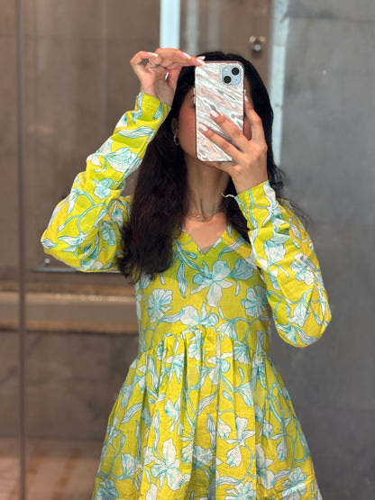 Light Noor Short Kurti peeplum top