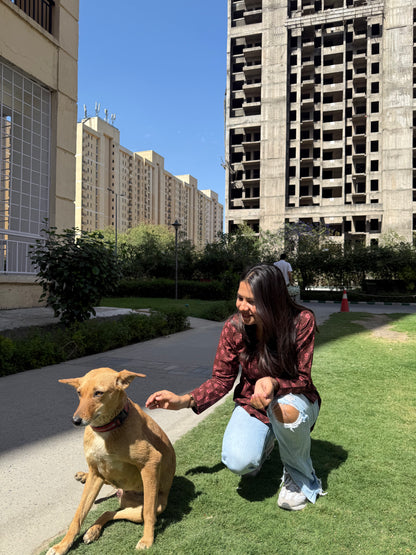 Mocha Straight Short Kurti