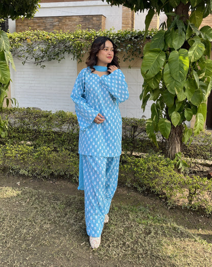 Badal Farshi Salwar Set